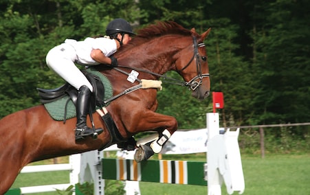 Professional horse on left of image jumping over a fence with its rider.