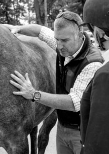 Shot of Tim Bradford on the right inspecting the side of a horse.
