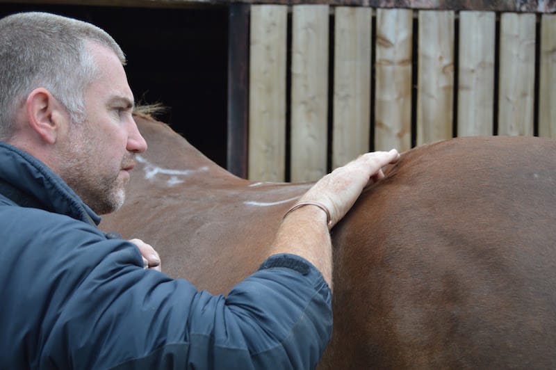 Tim Bradford with his hand placed gently on a horse's back.